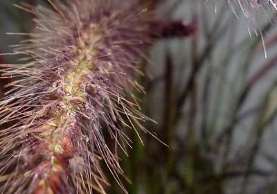 人生副标题句子(热门50句)