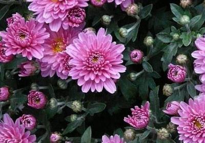 人生变幻无常句子(汇总15句)