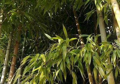 人生分叉路口哲理句子(共10句)