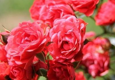 人生哲理句子励志(优选60句)