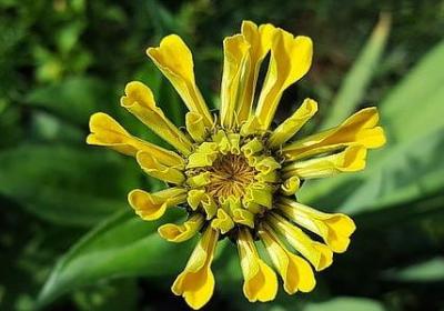 人生哲理的句子短语(合集70句)