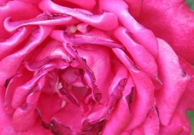 人生幽默哲理句子(推荐70句)