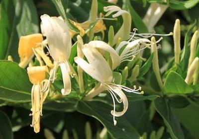 人生感悟的句子爱情(40句)