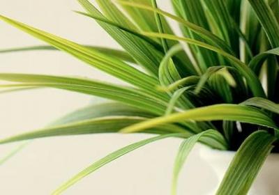 人生感悟疫情的句子(合集40句)