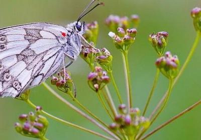 人生感悟的句子-百度(共40句)