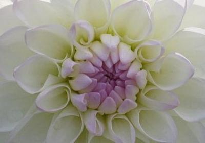 人生感悟的句子人生关系(必备61句)