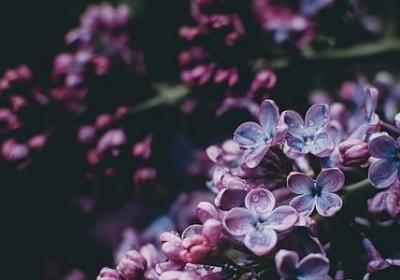 人生错了的句子(热门50句)