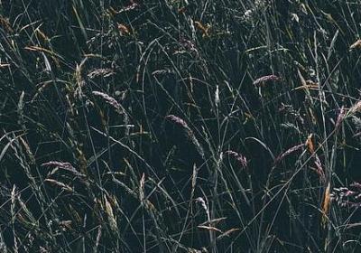 人生醒悟的犀利句子(推荐50句)