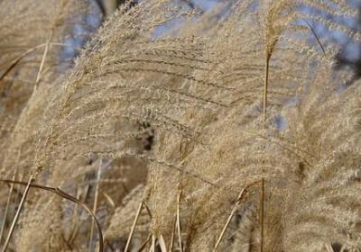 人生高度自信的句子(优选50句) 人生高度自信的句子(优选50句)