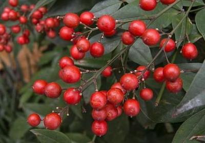 人生自由的句子图片(必备40句) 人生自由的句子图片(必备40句)