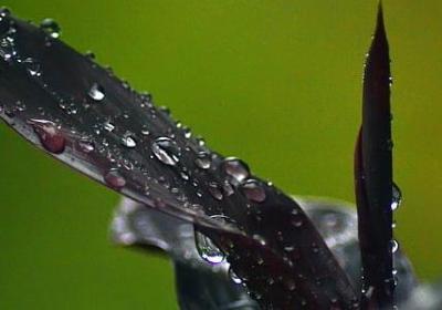 什么一定什么补充句子(实用70句) 什么一定什么补充句子(实用70句)