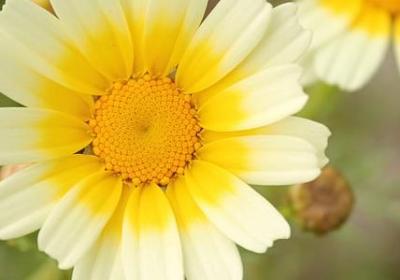 什么什么一样的造句子(推荐20句)