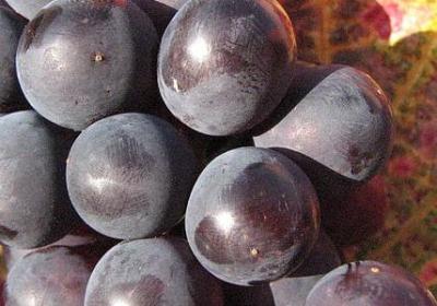 人间经典句子热议(必备50句)