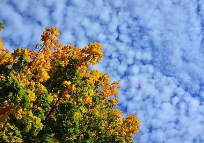 什么句子叫做诠释句(必备61句)