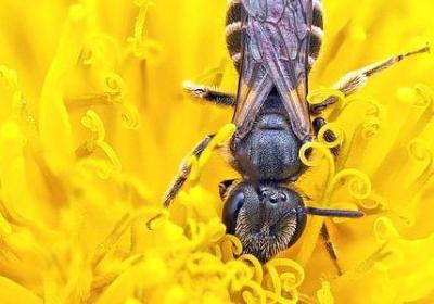 什么句是好句子(7句)