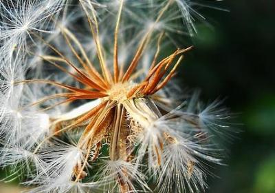 什么句子有望天高(必备41句)