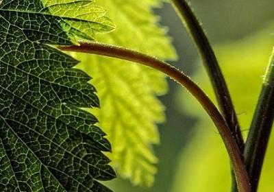 什么句子结尾用too(通用80句)