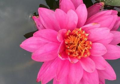 人人皆宜的句子(实用50句)