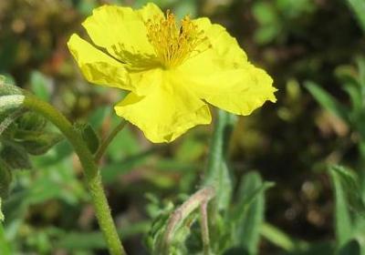 人太好说话的金典句子(合集40句)