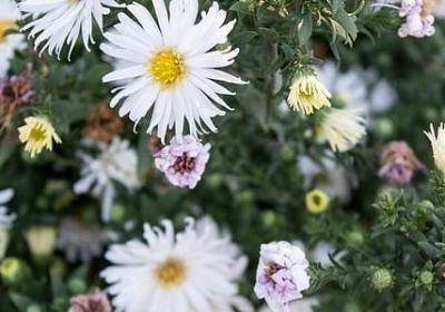 人失落的句子(推荐50句)