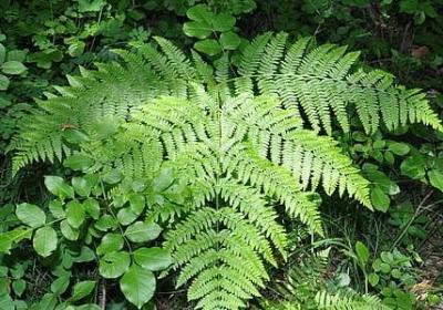 人心薄凉的句子(推荐40句)