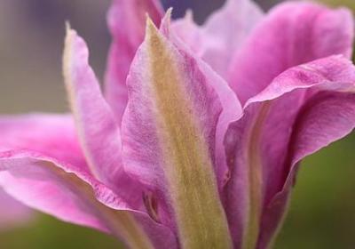 人死了很伤心的句子(必备15句)