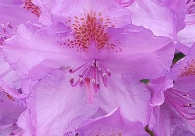 人心和现实的句子(热门20句)