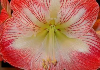 人性化造句子(实用20句)