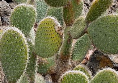 人物风采句子(汇总51句)