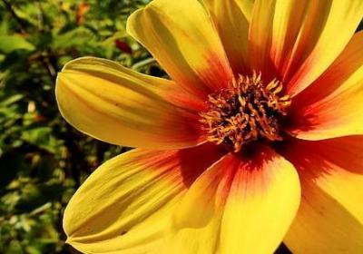 人生中的感悟句子(推荐50句)