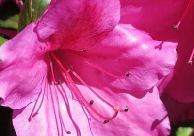 人生不止图片唯美句子(必备38句)