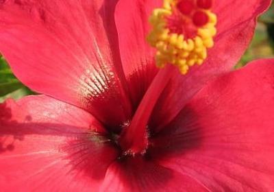 人生巅峰创业的句子(共40句)