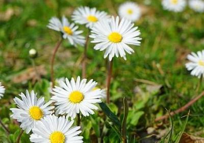 人生旅游的句子(精选50句)