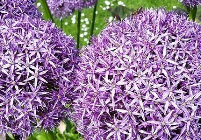 人生旅行的唯美句子(热门10句)