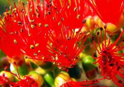 人生无味的句子(推荐30句)