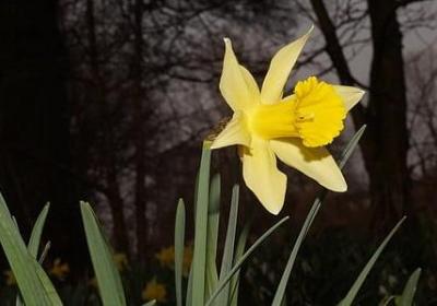 人生毫无意义的句子(合集50句)