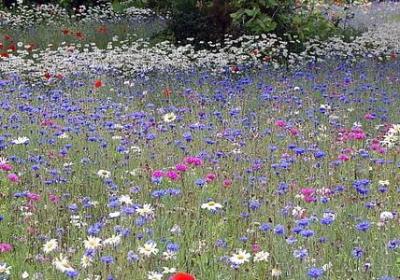 人生贵人的句子(通用50句) 人生贵人的句子(通用50句)