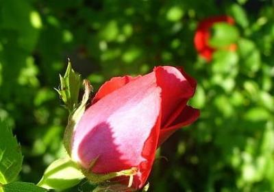 人生金典励志的句子(共60句) 人生金典励志的句子(共60句)