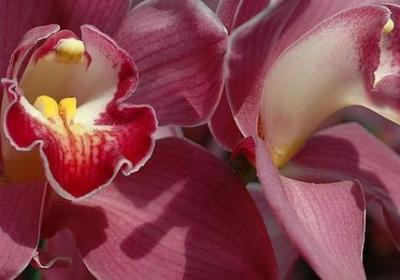 人生绽放光彩哲理句子(50句) 人生绽放光彩哲理句子(50句)