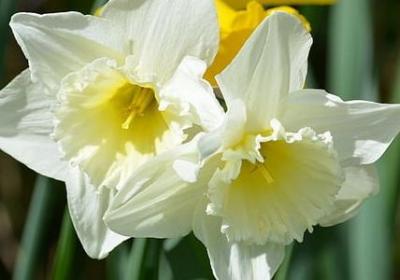 人生需要弥补的句子(精选50句)