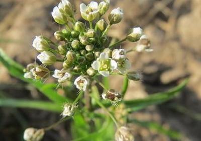 人的心性句子(实用15句)