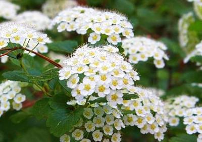 人间有爱病魔无情句子(合集60句)