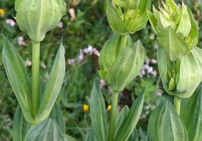 什么句子闲话不说(15句)