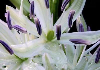 什么句子可以赞美夜景(通用41句)