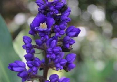 人在分离的句子(实用15句)