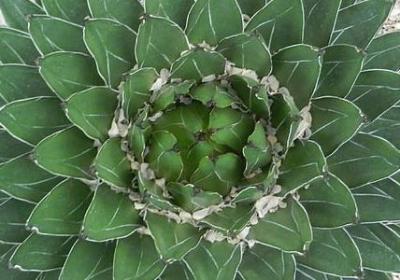 人心难测句子(优选50句)