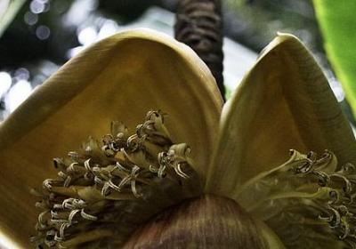 人心可畏的句子(精选30句)