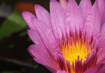 人性之阴暗句子英文(共10句)