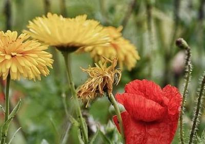 人教版的句子(必备80句)