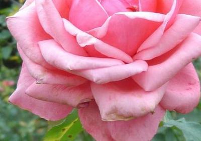 人物爱画画的句子(合集50句)